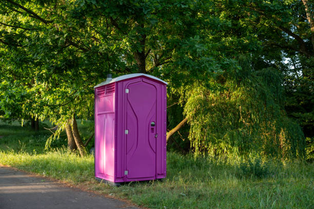 Best Luxury portable toilet rental  in Mount Healthy, OH
